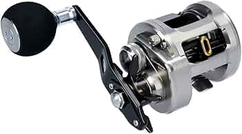 2015 Daiwa Catalina BJ 200SH (RIGHT HANDLE) : Amazon.com.au