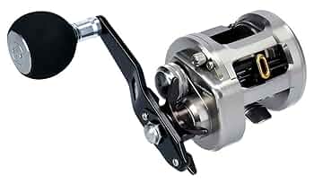 ダイワ Catalina BJ 200sh ダイワ Catalina BJ 200SH Daiwa 15 Catalina BJ200SH-L | eBay