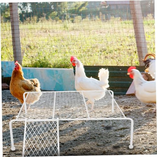Table d'alimentation poulets avec échelle pour poulailler extérieur