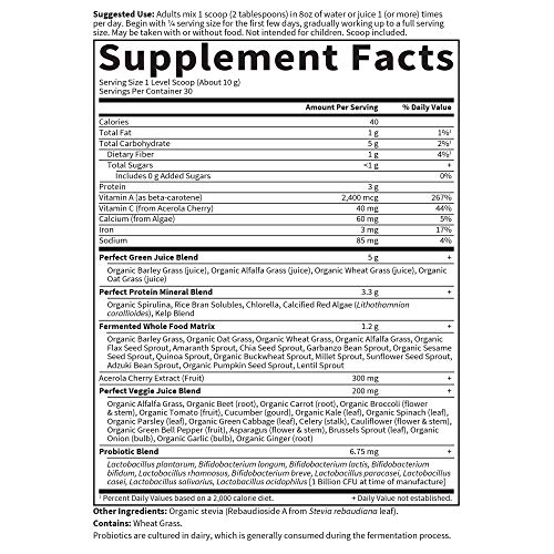 Garden Of Life Perfect Food Super Green Formula - 30 Servings | 45 Superfoods, Greens, Fruit & Veggie Juice Superfood Powder Supplement, Probiotics & Organic Spirulina For Digestion & Immune Health #TOP4