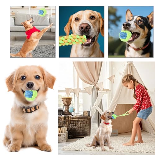 Rongrongago 7 Stück Hundespielzeug-Set, Hundespielzeug Seil, Strapazierfähiges Kauspielzeug Hund, Geeignet Für Welpen, Kleine Hunde, Mittelgroße Hunde (Grün)