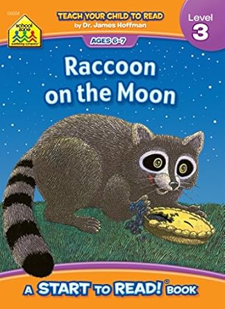 Raccoon on the Moon