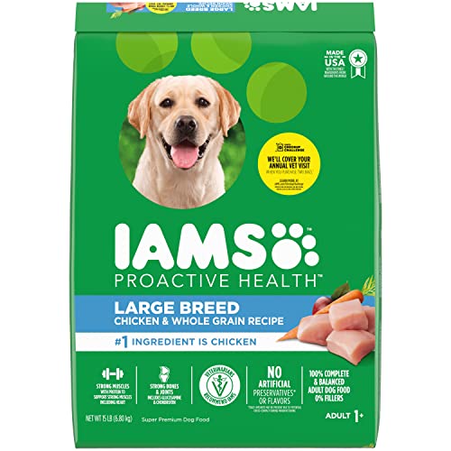 Top 10 Best Large Breed Dog Food Brands in 2020