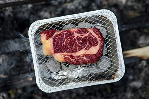 Ezgrill Disposable Charcoal Grill Ideal For Camping And Tailgate Parties -Pack Of 2 Small Size Portable, Easy To Light, And Convenient Charcoal Grill Lasts 1.5 Hours Grill Anytime, Anywhere #TOP3