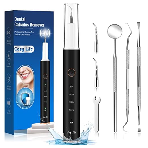 Plaque Remover for Teeth, Sonic Teeth Cleaning Kit, Electric Tooth Cleaner Tool for Oral Care with 4 Modes, Tartar Stain Calculus Remover Rechargeable Teeth Cleaning Kit with 2 Replaceable Heads