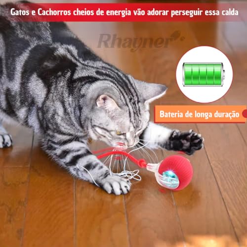 Bolinha Pet Interativa Gato Cachorro Bolinha automática Animais Brinquedos