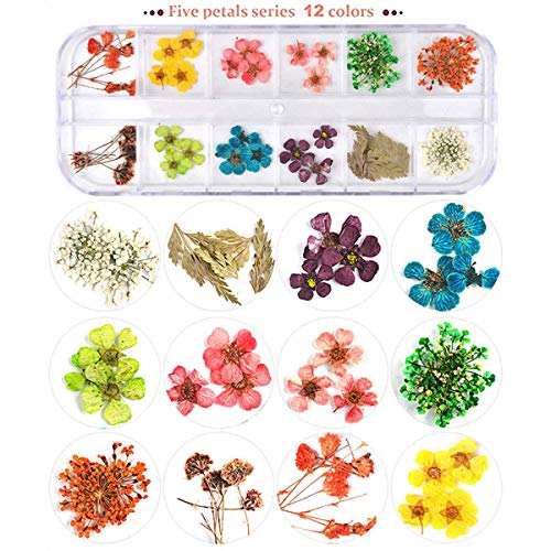 UNIME 24 Color Dry Flower Mini Appliques 3D Nail Decoration, Gypsophila Leaves