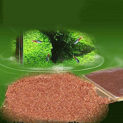 Seed Freshwater Fish Tank Carpet Foreground Aquarium Water Plant Double Leaf Seeds