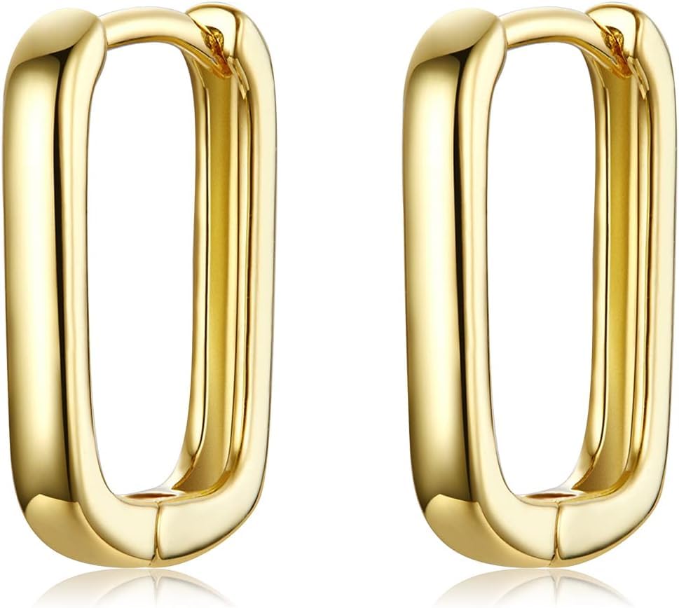 Boucles d'oreille françaises en argent sterling hypoallergénique pour oreilles sensibles