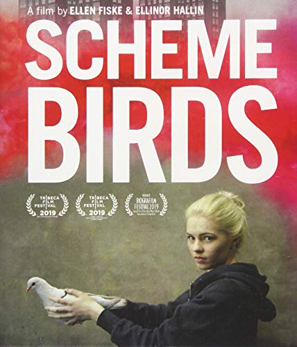 Scheme Birds