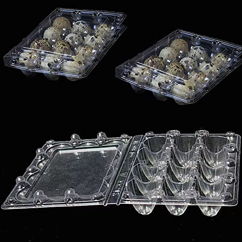 30 Stück Wachteleierschachteln 12 Gitter Quail Egg Kartons Wachtelei-Schachteln Eierschachteln Wachteln Kunststoff Wachtelei-Kartons Transparente Eierschachtel für Wachteleier