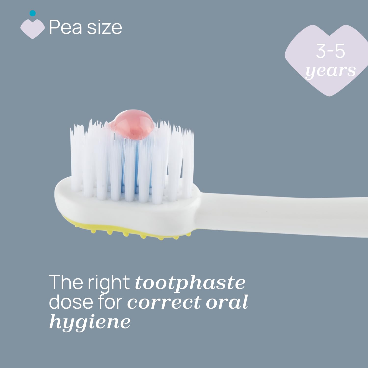 Chicco Set 2 Spazzolini da Denti per Bambini con Ventosa, Testina Arrotondata, Setole Morbide Delicate su Gengive e Dentini, Ampio Manico Antiscivolo, Coprisetole Incluso, 3-6 Anni, 2 Pezzi, Bimbo