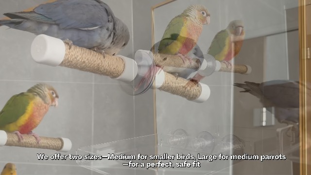 2-in-1 Bird Perch with Removable Tray | Suction Cup Bird Perch with Locking Guard & Feeder Tray | for Small and Medium Birds Like Parakeets, Cockatiels, Lovebirds, Conures(Clear,Medium) - image 8