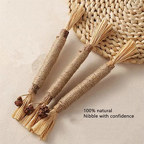 HAIPAITE Silvervine Palitos de mastigar para gatos, palitos de mastigar erva-dos-gatos brinquedos pa