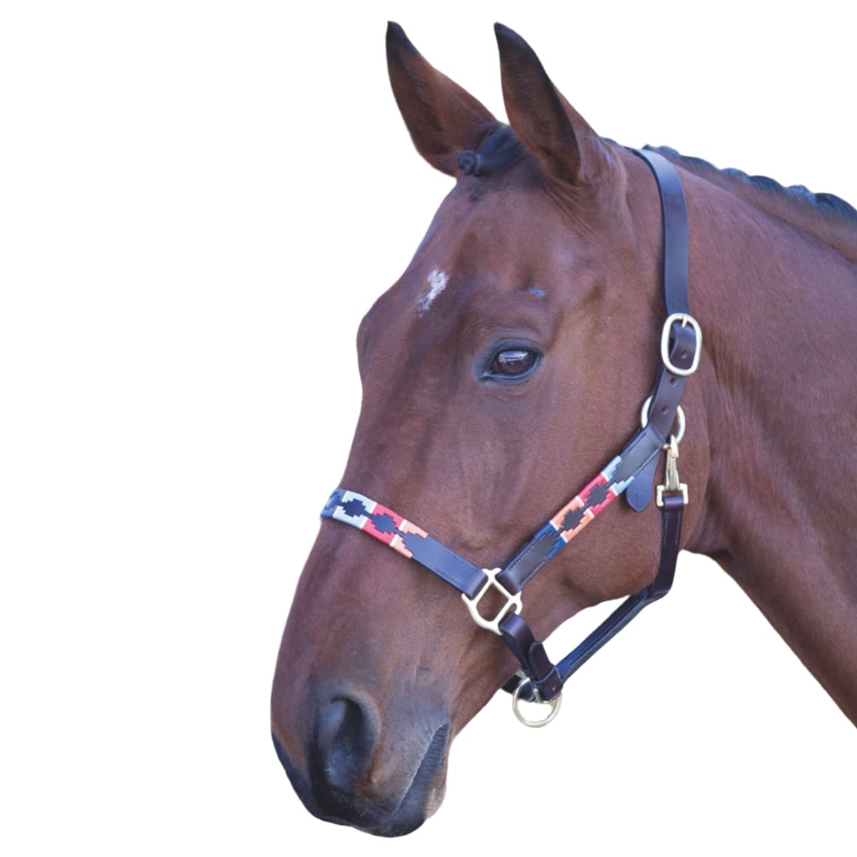 Blenheim Polo Horse Headcollar Leather (Full) (Turquoise/Red/Orange/Blue)