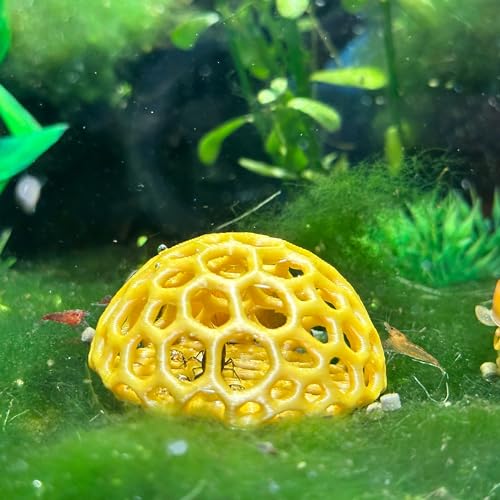 Ctwpets Shrimp Dome Hide - Aquarium Cherry Shrimp Hide - Ctwpets Cherry Shimpe Hide thumb #5