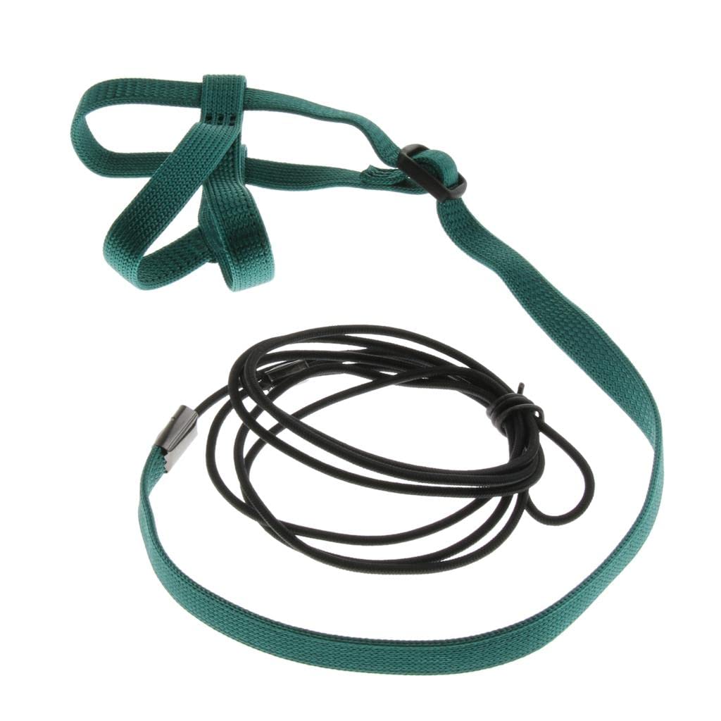 MYADDICTION Parrot Bird Leash Outdoor Adjustable Harness Training Rope Green S Pet Supplies | Bird Supplies | Toys (B0BQW1DZ62) Amazon Price History, Amazon Price Tracker