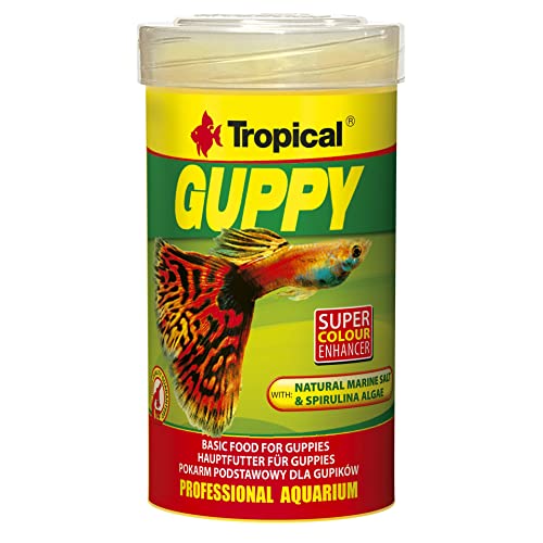 TROPICAL Guppy Nourriture pour Aquariophilie 100 ML