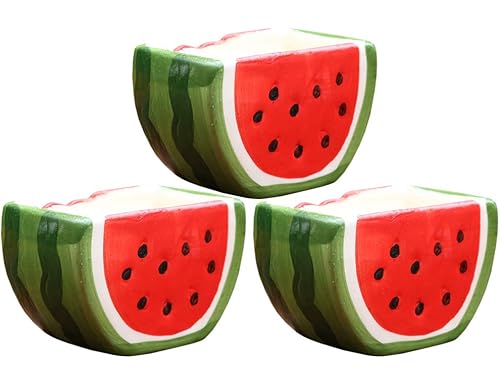 Best Watermelon Planters 2024: Pick the Perfect Pot for Your Plants