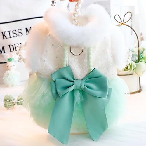 [SeitenFB] L H~p s[X vZXhX [X ݕt N ۉ 傫ȃ{t ^p p[eB[ Cxg LO hbOEFA L