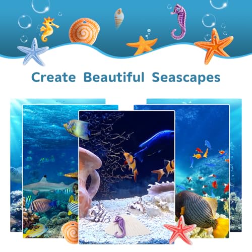 Conchas de playa para rellenar jarrones decorativos y fondos de acuario Tendycoco 48 piezas 3