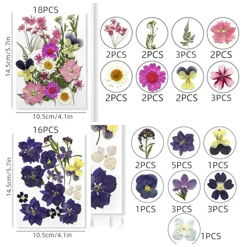 216 piezas Flores prensadas secas para manualidades miniatura 4