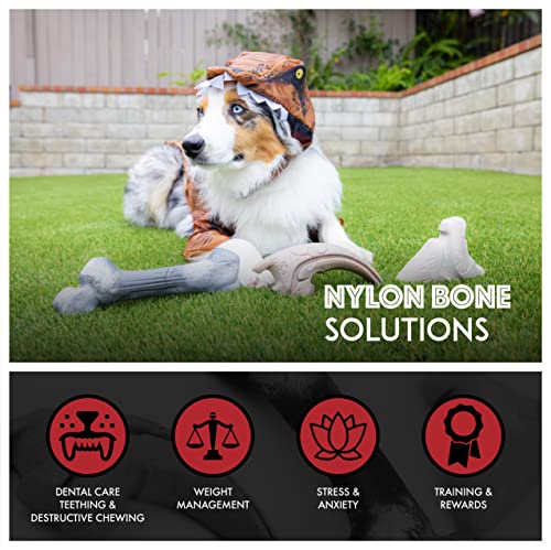 Jouet interactif pour chien Megalodon Tooth : accessoire de mastication durable et résistant