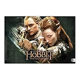  Der Hobbit Broschur XL 2014