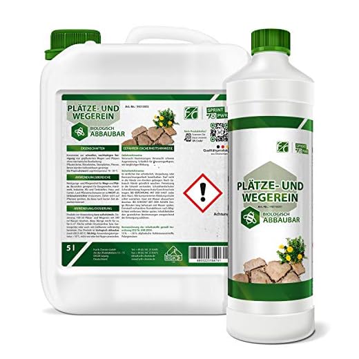 Furth Chemie, Plätze- und Wegerein - 2 x 5 l Kanister