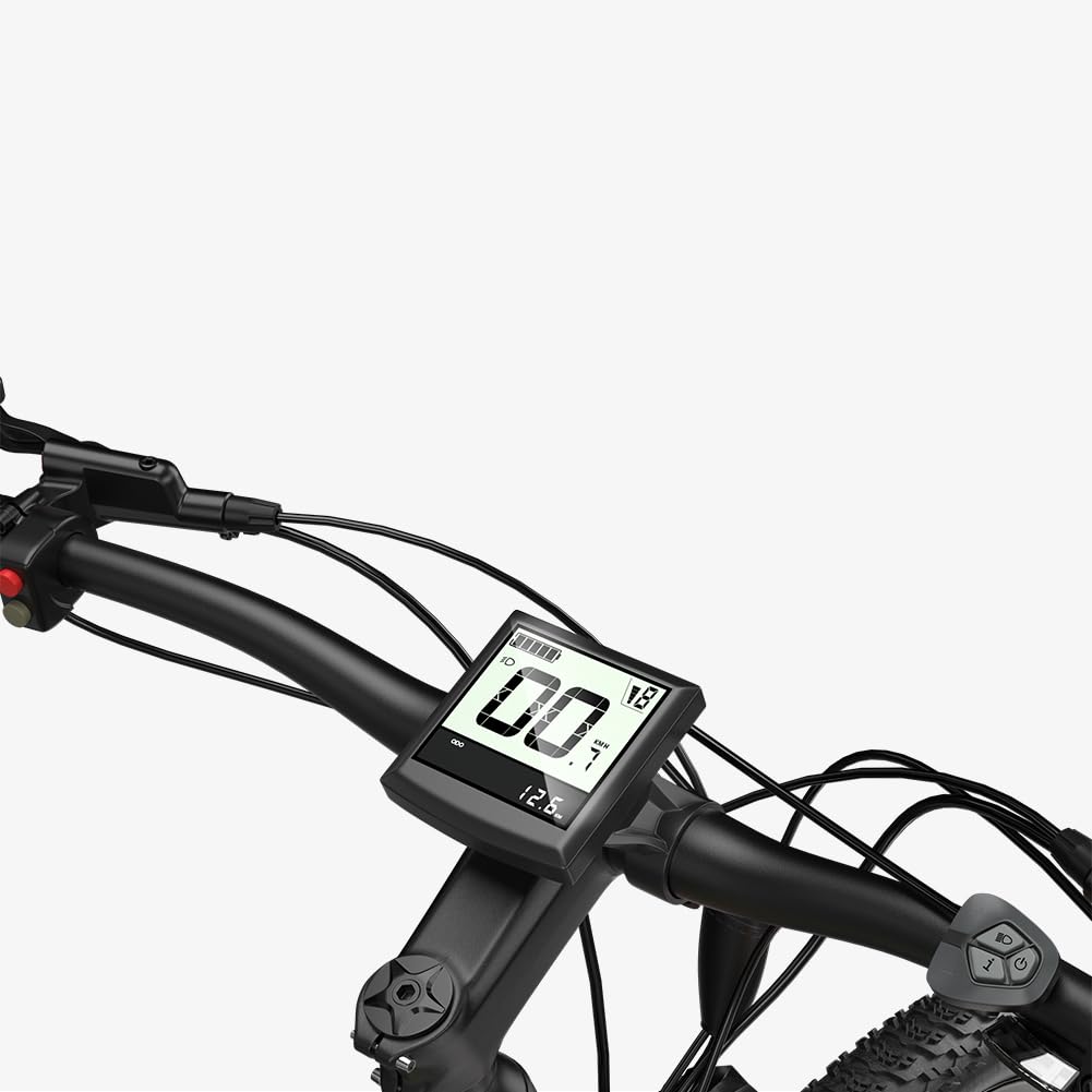 Speedy E Bike Mountain Bike 29 pollici | Bicicletta elettrica MTB Ebike Batteria 48V 720Wh 25km/h per 170-190 cm Dotata di portapacchi e parafango