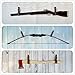 DeYoungArbeit Leather Hanging Straps Gun Rack Wall Mount Display for Rifle Shotgun Axe Hatchet Tool Sword Umbrella (2, Nickel)