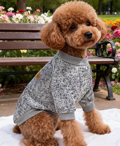 OYIWINMI Hundepullover 2 Stück, hundepullover kleine Hunde hundemantel für Fleece hundejacke Pullover Hund Chihuahua Kleidung hundekleidung klein hundepulli Katzen wintermantel hundebekleidung (S)