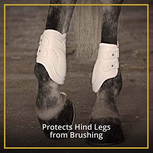 Kavallerie Fetlock Boots for Horses Pro-K 3D Air Mesh Horse Ankle Boots with Impact Resistant and Breathable Soft Padding for Horse Jumping & Training - Thumbnail 2