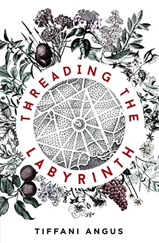 Threading the Labyrinth view 2