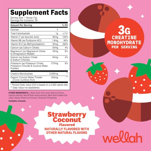 Image of Wellah Creatine + Electrolytes Powder (Strawberry Coconut) 30 Servings | Hydration Drink Mix with 3g of Creatine Monohydrate