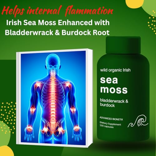 Organic Irish Sea Moss Capsules, Raw Wildcrafted Seamoss Enhanced w/Bladderwrack & Burdock Root Capsules 120 Total Pills Antioxidant Packed. Prebiotic Superfood, Thyroid Support - Image 5