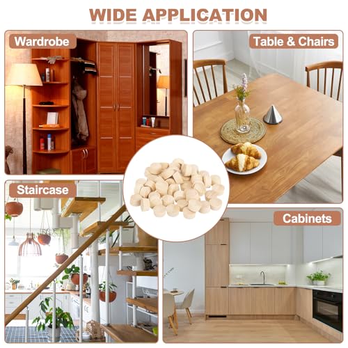 QUARKZMAN 200 STK Holzstopfen 58 Zoll Flachkopf Holzstopfen Für Schraubenlöcher Holzschraubenlochabdeckungen Für Möbel Schränke DIY Projekte Sortimentsset