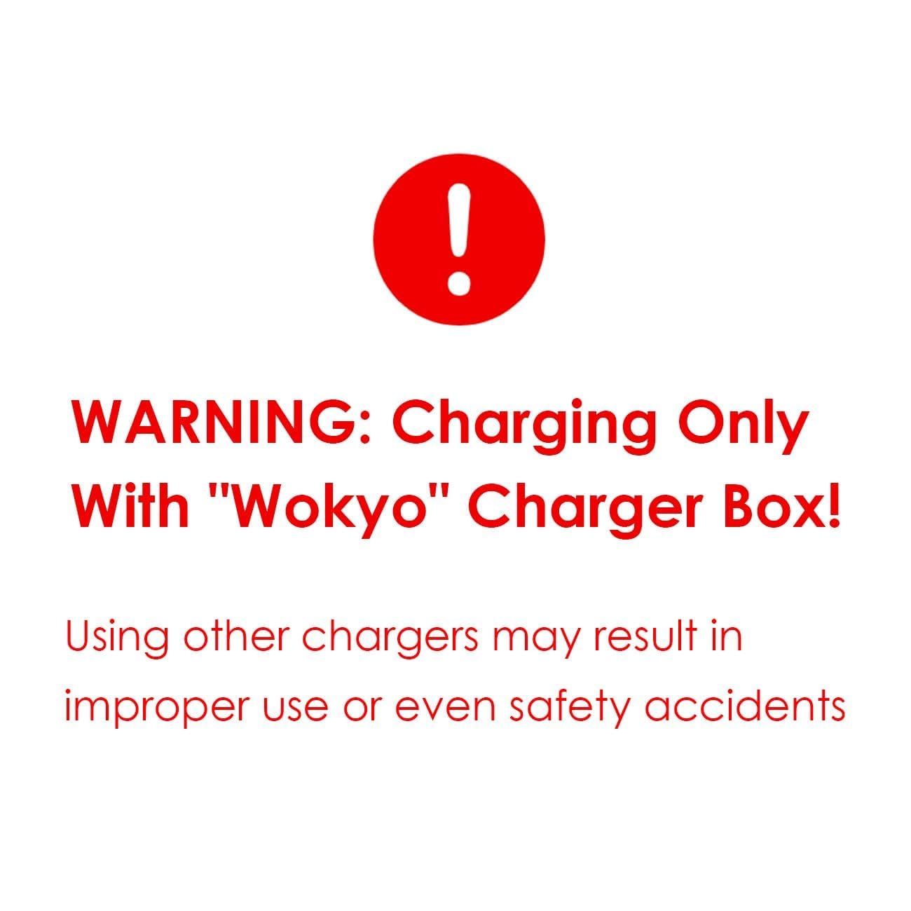 Wokyo Lot de 4 piles rechargeables 675 pour appareils auditifs 675, compatibles avec l'étui de chargement de la même marque uniquement