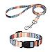 Popuppe Welpenhalsbänder mit Leine Set,Hundehalsband Verstellbares Weich & Komfort Nylon Hunde Halsband für Kleine Mittlere Hunde Welpen Katzen (S, Orange)