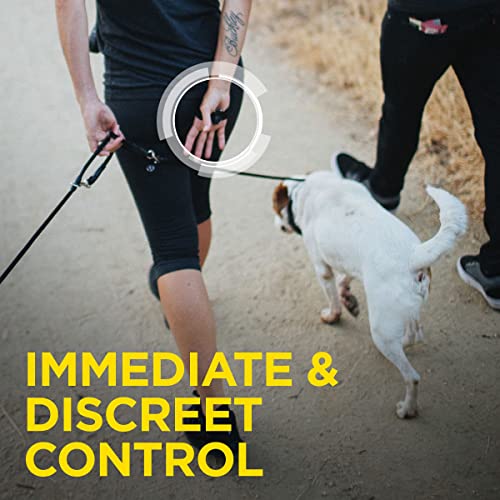 Dogtra ARC HANDSFREE Plus Expandable to 2-Dog Remote Dog Training E-Collar with HANDSFREE Square for Discreet and Precise Control Slim Ergonomic Rechargeable Waterproof 3/4-Mile Range
