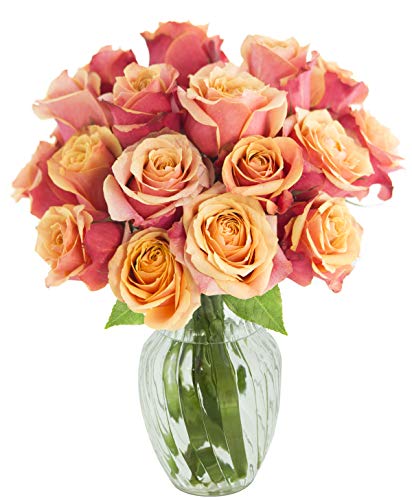 KaBloom 18 Fresh Orange Roses