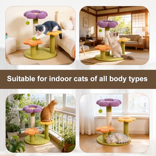 Arbre à chat anti-stress avec 3 grottes et perchoirs pour optimiser les petits espaces - 6