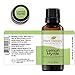 Plant Therapy Lemon Myrtle Essential Oil 30 mL (1 oz) 100% Pure, Undiluted, Therapeutic Grade