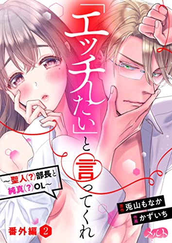 「エッチしたい」と言ってくれ ~聖人(?)部長と純真(?)OL~ 番外編2 (メルト)