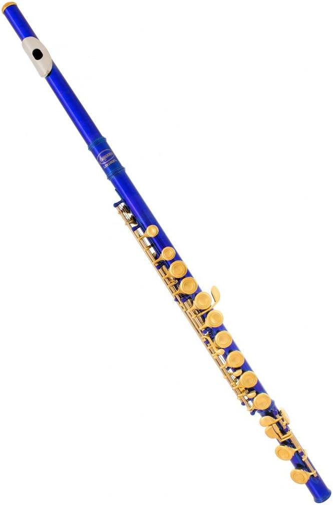Professional Royal Blue-Gold Keys Closed Hole C Flute for Band, Orchestra, with Case, Care Kit and Warranty, 180-BU-N