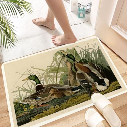 HKPOEQ Non-Slip Absorbent Microfiber Mats,Machine Washable Quick Dry Rugs,Memory Foam Bath Mat,Bathroom Accessories,Wild ducks, reeds and ducks in the water in the natural habitat show the b,24x39 in
