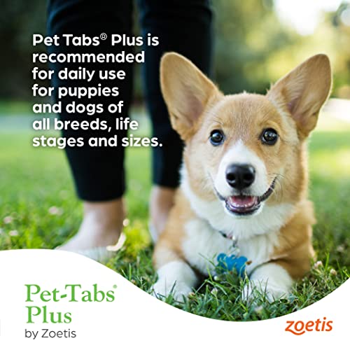 Pet-Tabs Plus Multivitamin And Mineral Supplement For Dogs With Special Nutritional Needs, Chewable Tablet, 60 Count Bottle #TOP5