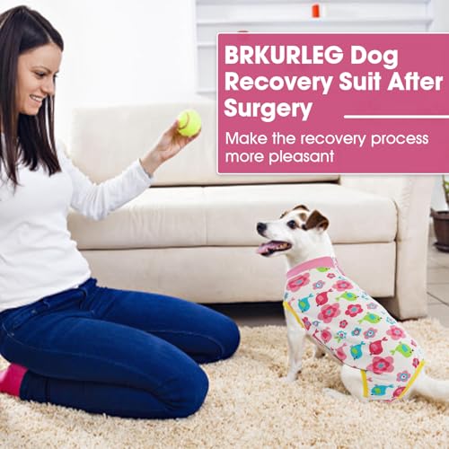 Image of BRKURLEG Small Dog Recovery Suit After Spay, Back Zipper Post Surgery Suit for Dogs & Cats, Abdominal Wound Protection, Soft Anti-Licking Puppy Surgical Onesie Pajamas, Cone Alternative, XXL