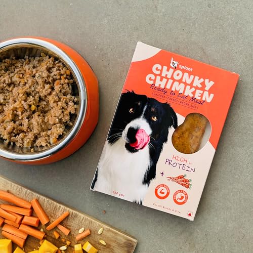 Image of Wet Dog Food - Chicken and Brown Rice Gravy Meal for Pets - for Adult Dogs and Puppy - Real Chicken, High Protein, Fresh Ingredients - Ready to eat Meal - 200g