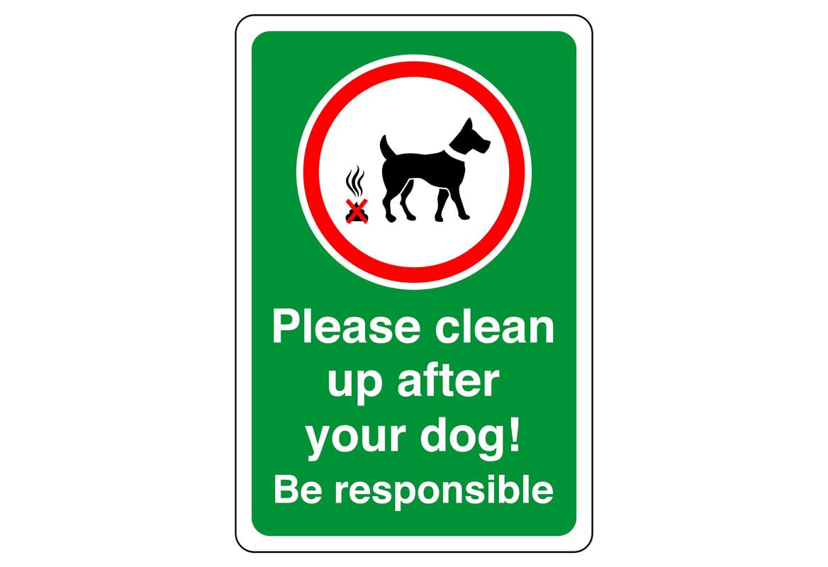 Safety First Display Ltd Green Please Clean Up After Your Dog! Be Responsible - High Tack Self-Adhesive Sticker (400Mm X 300Mm) Viewing Distance Within 14M.